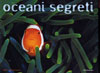 ingrandisci l'immagine